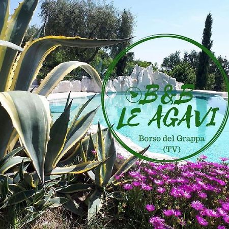 B&B Le Agavi Borso del Grappa Exterior photo
