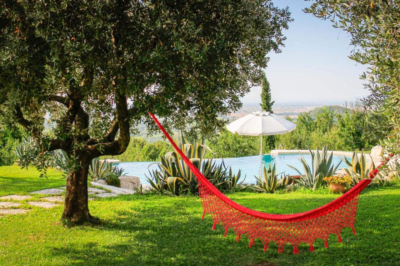B&B Le Agavi Borso del Grappa Exterior photo